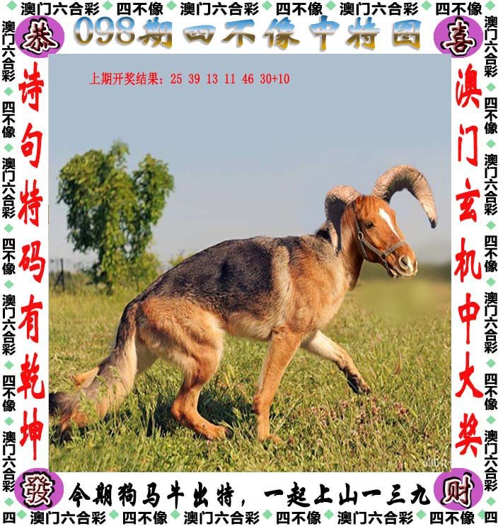 2025澳门精准正版免费四不像和2025新澳精准正版免費資料,全面释义、解释与落实-警惕虚假宣传-全面释义、解释与落实